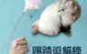 生活市集 6.4折! - 多功能矽膠項圈逗貓棒 踢踏逗貓棒 貓用玩具 寵物玩具 寵物用品