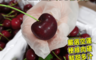 生活市集 4.9折! - 華盛頓手摘櫻桃(9.5R/1kg/禮盒) 清脆紮實 香濃細膩 紅艷閃耀