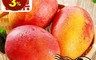生活市集 6.4折! - 果味仙愛文芒果 4r斤- 果肉Q彈/甜蜜細緻/香甜多汁/果香四溢
