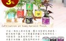 Cultivation Table 6.5折! - 迷你桌上栽培罐系列 小盆栽 香草植物