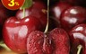 生活市集 8.6折! - 美國華盛頓9.5R櫻桃 (1kg禮盒) 嬌嫩鮮甜/大顆飽滿/色澤暗紅