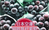 真食材本舖 RealShop 6.7折! - 日本頂級貓眼葡萄禮盒 (625g/盒)
