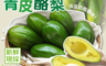 生活市集 7.1折! - 屏東嚴選青皮酪梨禮盒 高樹鄉 產地直送 綿密果肉 堅果香氣 自然香甜 5斤/箱
