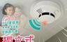 Splaything 7.6折! - 獨立式居家安全消防警報器 火災警報器 無須佈線