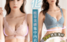 生活市集 3.6折! - 淨化植萃美膚集中無鋼圈內衣 豆沙/海藍/奶灰 M-3XL