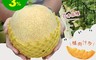 生活市集 7.7折! - 阿露斯橘肉哈密瓜2入禮盒(1kg/顆) 溫室栽培 日本品種 產地直送