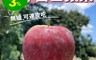 生活市集 8.2折! - 南非無蠟小蘋果 無上蠟 可連皮食用 小巧可愛 清脆香甜 無化學添加肥料