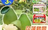 花蓮鶴岡 6.0折! - 40年老欉文旦 5斤(6-8顆/箱)、10斤(12-16顆/箱)
