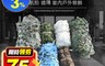 生活市集 6.7折! - 3米x4米牛津布防偽網(叢林迷彩/沙漠迷彩/海洋迷彩/純白/純黑) 遮陽/防空拍