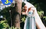 生活市集 2.9折! - 手壓噴霧瓶 500ml 澆花器 消毒水噴壺 澆花壺 噴水器