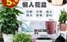 fioJa費歐家 7.5折! - 仿金屬集水花盆 懶人盆栽/園藝用具/雙層盆栽