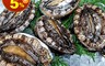 生活市集 6.0折! - 帶殼活凍九孔鮑魚 口感滑嫩 爽脆彈牙 鮮甜海味 (1000g/20顆/盒)