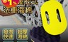 生活市集 6.0折! - EVA握把式洗車海綿 清潔海綿 手握式 超大海綿 洗磁磚 玻璃清潔