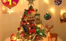 生活市集 7.8折! - 50cm聖誕樹套餐  (附贈燈+11種配件)