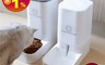 生活市集 5.9折! - 寵愛簡約自動餵食器 超值飲水+餵食 飼料桶貓碗狗碗 防打翻 防潮鎖鮮