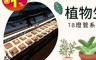 君沛 6.8折! - T8 植物燈管2尺全光譜植物燈JNP034