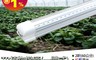 生活市集 6.8折! - 君沛T8燈管系列 2尺 植物燈 紅藍混光 植物燈管 植物生長燈 JNP034-1
