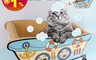 生活市集 7.4折! - 泡泡浴缸造型貓抓板貓碗 貓抓板貓窩  L號 XL號