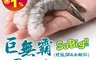 生活市集 6.6折! - 巨size國王無毒白蝦仁100g/盒(約3~5隻) 大尺寸/新鮮海鮮/蝦子、蝦肉