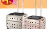 PUBT 8.2折! - 寵物拉桿推車PLT-02-42 寵物用品/寵物外出包/寵物拉桿車