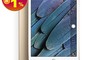Apple 蘋果 8.0折! - 福利品iPad mini 4 WiFi 128G