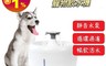 生活市集 5.6折! - 簡約造型智能寵物飲水機 日常款 夜燈款 活水機 乾淨過濾 自動飲水機 貓咪喝水機