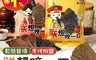 生活市集 7.5折! - 朕想咬一口鬆脆厚切海苔(椒鹽海苔/ 醬燒海苔)