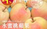 生活市集 6.1折! - 大顆青森TOKI水蜜桃蘋果(6入/裝)