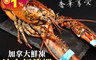 生活市集 7.3折! - 加拿大波士頓螯龍蝦 天然海味 奢華享受 產地直送 新鮮活凍(450g/尾)