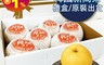 RealShop 真食材本舖 4.2折! - 韓國新高梨盒/水梨禮盒