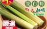 生活市集 6.9折! - 大包三芝帶殼筊白筍 600g/包
