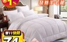 精靈工廠 6.2折! - 遠紅外線銀離子羊毛被 保暖保溫 台灣製(B0712)