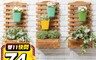 PickNew 6.2折! - 戶外壁掛花架 爬藤植物花架 戶外盆栽壁掛花架 置花架 木花架