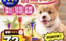 生活市集 5.2折! - 貓狗寵物益智遊戲漏食球/益智漏食器 /狗玩具 /貓玩具/ 飼料球/寵物玩具