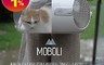 MOBOLI 貓卜力 7.4折! - 膠囊旅行艙(兩用外出籠寵物窩、貓膠囊)