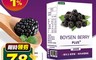 iVENOR 4.4折! - 紐西蘭波森莓2g 14包 莓果 抗生素 保健食品 葡萄醣