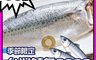 生活市集 5.2折! - 低鈉無鹽台灣鯖魚(200克/片) 鮮度第一 營養滿分 口感紮實 下酒菜之王