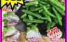 生活市集 6.1折! - 小資鮮魚蔬食肉肉防疫箱 國產雞/比目魚切片/去刺虱目魚肚/智利鮭魚/牛五花