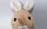 英國比得兔Petter Rabbit 9.0折! - 比得兔絨毛零錢包