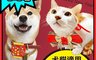 生活市集 3.3折! - 可愛毛小孩 歡樂過新年 寵物節慶飾品 四款任選 適用貓咪狗狗 小紅包