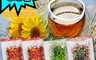 零食物語 5.7折! - 三角隨手包系列-大溪小豆丁/辣味大溪小豆丁/雙口感豌豆/梅子葡萄乾