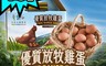 青泉谷 7.8折! - 優質放牧雞蛋 (24顆/箱)