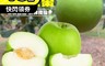 生活市集 7.2折! - 果農直配屏東高樹頂級雪蜜棗12入禮盒_3.5-4.5兩/顆 棗子 雪蜜蜜棗