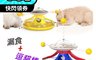 XIAOGO 7.4折! - 猫咪玩具快樂轉盤 轉盤球 漏食 逗猫棒 寵物玩具 寵物用品