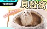 生活市集 7.2折! - 絨毛貝殼寵物窩50cm/65cm 寵物床 寵物屋 寵物窩 加絨寵物窩 寵物睡墊