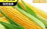 果農直配 7.7折! - 新鮮帶葉黃色甜玉米(5斤/10斤/箱)