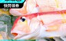 生活市集 5.4折! - 新鮮赤面馬頭魚350g 甘鯛/菲律賓海鮮/去鰓、去鱗
