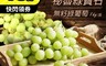 生活市集 5.2折! - 綠寶石無籽葡萄 方便食用 鮮美爽脆 多汁美味 香氣濃郁 綠葡萄 頂級水果 1kg