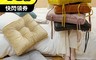 生活市集 5.9折! - 加厚天鵝絲絨高彈方型坐墊 加厚坐墊/沙發椅墊/椅墊