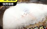 賣魚的家 4.6折! - 霸王級超鮮大片比目魚600g/片 扁鱈/進口海鮮